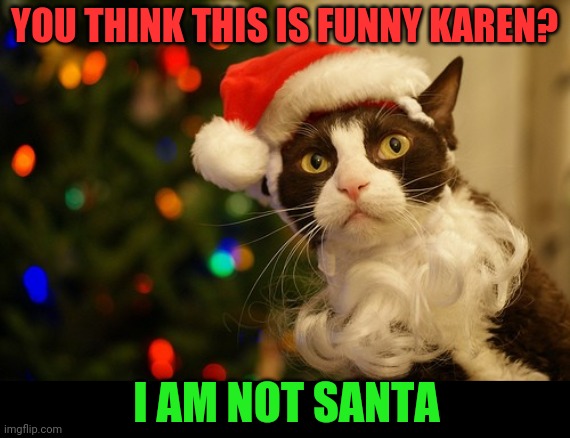 SANTA KITTY | YOU THINK THIS IS FUNNY KAREN? I AM NOT SANTA | image tagged in cats,funny cats,santa | made w/ Imgflip meme maker