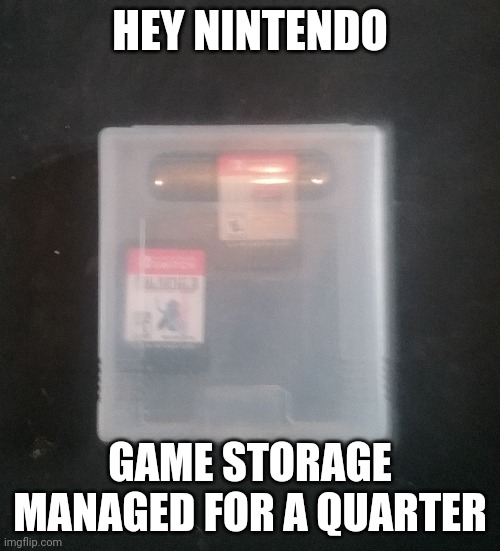 nintendo feeling catty | HEY NINTENDO; GAME STORAGE MANAGED FOR A QUARTER | image tagged in cheap switch game case,catty | made w/ Imgflip meme maker
