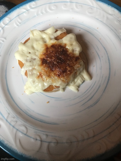 I put a cheese stick on a chicken patty and microwaved it | made w/ Imgflip meme maker