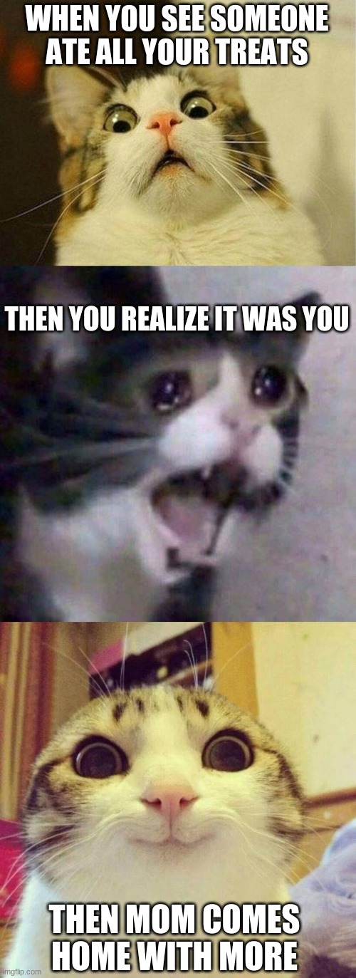upvote if relatable | WHEN YOU SEE SOMEONE ATE ALL YOUR TREATS; THEN YOU REALIZE IT WAS YOU; THEN MOM COMES HOME WITH MORE | image tagged in memes,scared cat,screaming cat meme,smiling cat | made w/ Imgflip meme maker