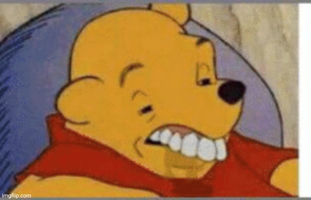Derp! | image tagged in retarded pooh | made w/ Imgflip meme maker