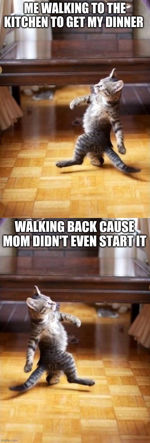 ME WALKING TO THE KITCHEN TO GET MY DINNER; WALKING BACK CAUSE MOM DIDN'T EVEN START IT | image tagged in memes,cool cat stroll,walking cat mirror | made w/ Imgflip meme maker