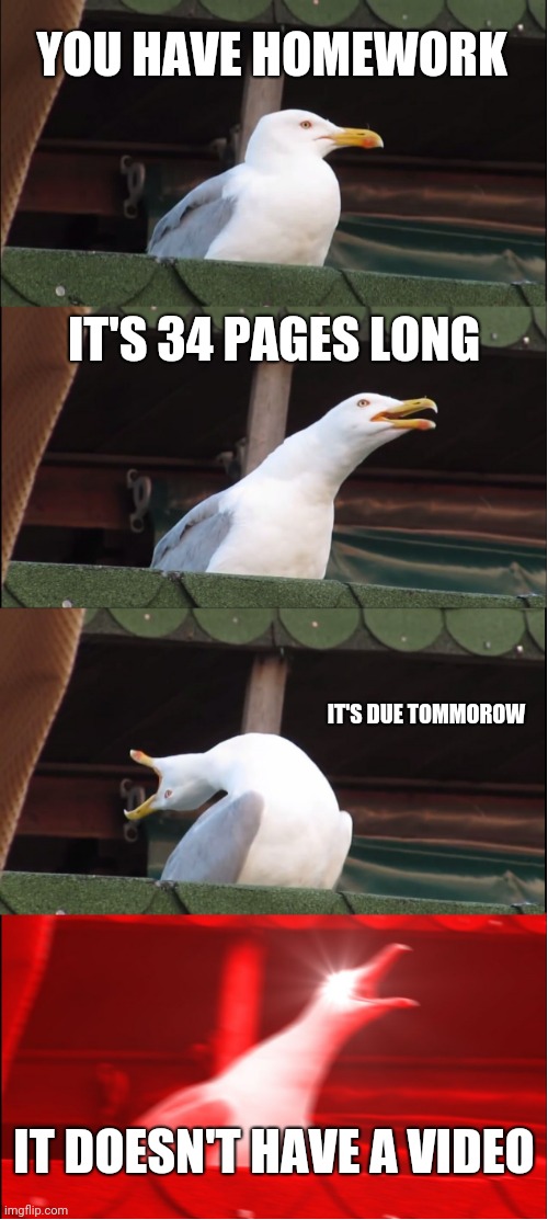 PAIN OF SCHOOL | YOU HAVE HOMEWORK; IT'S 34 PAGES LONG; IT'S DUE TOMMOROW; IT DOESN'T HAVE A VIDEO | image tagged in memes,inhaling seagull | made w/ Imgflip meme maker