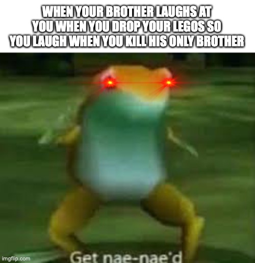 inspired by reddit | WHEN YOUR BROTHER LAUGHS AT YOU WHEN YOU DROP YOUR LEGOS SO YOU LAUGH WHEN YOU KILL HIS ONLY BROTHER | image tagged in get nae-naed | made w/ Imgflip meme maker