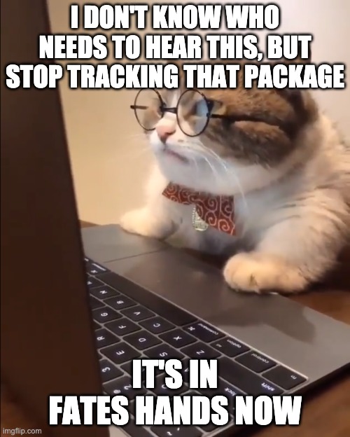 research cat | I DON'T KNOW WHO NEEDS TO HEAR THIS, BUT STOP TRACKING THAT PACKAGE; IT'S IN FATES HANDS NOW | image tagged in research cat | made w/ Imgflip meme maker