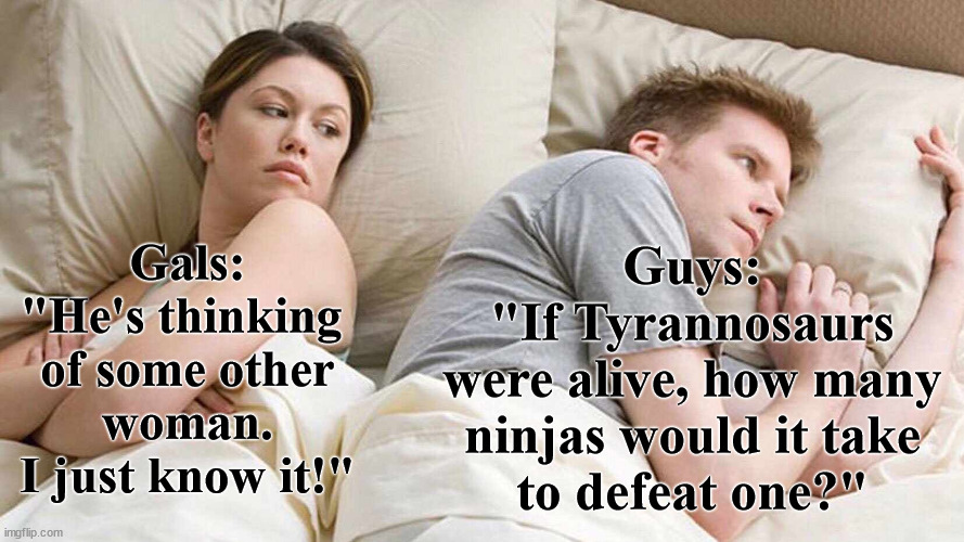 I Bet He's Thinking About Other Women Meme | Guys:
"If Tyrannosaurs
were alive, how many
ninjas would it take
to defeat one?"; Gals:
"He's thinking 
of some other
woman.
I just know it!" | image tagged in memes,i bet he's thinking about other women | made w/ Imgflip meme maker