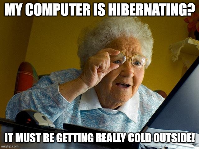 Better keep him in a warm place for the winter! | MY COMPUTER IS HIBERNATING? IT MUST BE GETTING REALLY COLD OUTSIDE! | image tagged in memes,grandma finds the internet,funny | made w/ Imgflip meme maker