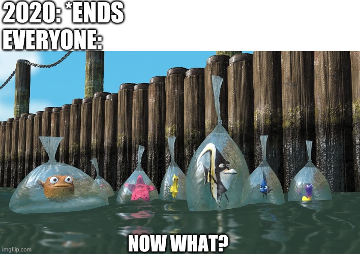 Now what? | 2020: *ENDS; EVERYONE:; NOW WHAT? | image tagged in finding nemo fish in bags,now what,2020,2020 ending,2020 ends | made w/ Imgflip meme maker