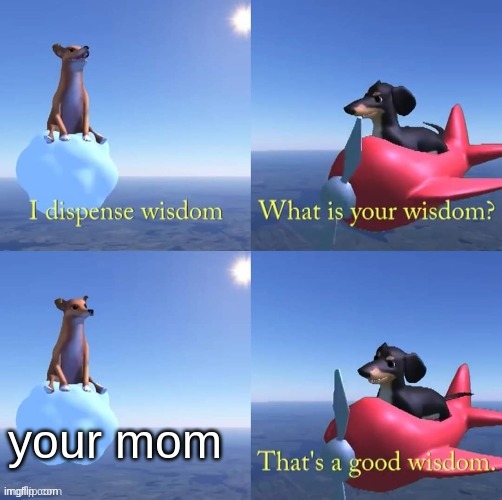 Wisdom dog | your mom | image tagged in wisdom dog | made w/ Imgflip meme maker