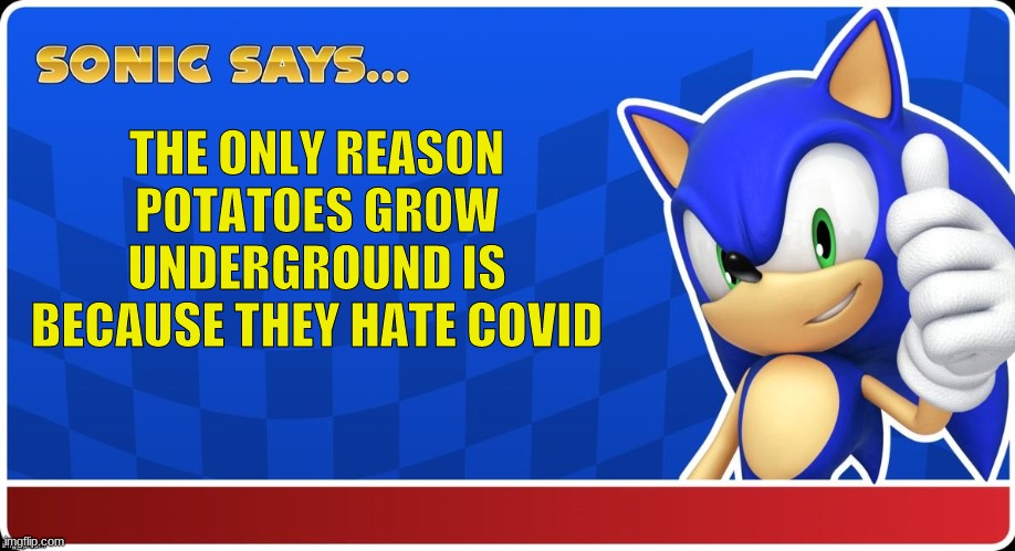 if sonic says it, it's true | THE ONLY REASON POTATOES GROW UNDERGROUND IS BECAUSE THEY HATE COVID | image tagged in sonic says s asr | made w/ Imgflip meme maker