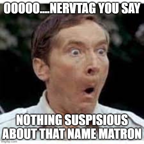 ooo matron | OOOOO....NERVTAG YOU SAY; NOTHING SUSPISIOUS ABOUT THAT NAME MATRON | image tagged in nervtag,government,covid 19,neil ferguson | made w/ Imgflip meme maker