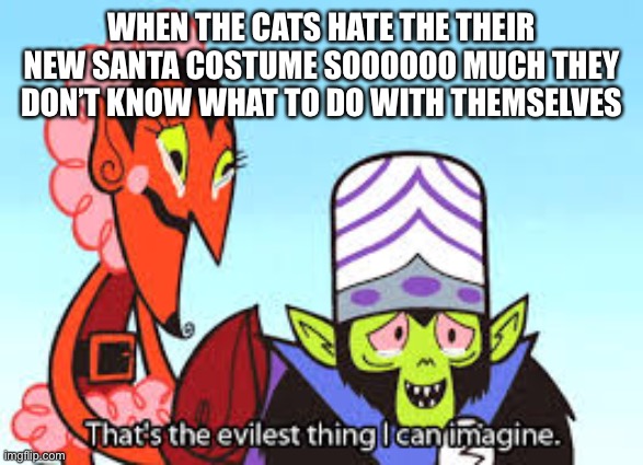 Even the cats get to suffer for the holidays | WHEN THE CATS HATE THE THEIR NEW SANTA COSTUME SOOOOOO MUCH THEY DON’T KNOW WHAT TO DO WITH THEMSELVES | image tagged in the most evil thing i can imagine | made w/ Imgflip meme maker