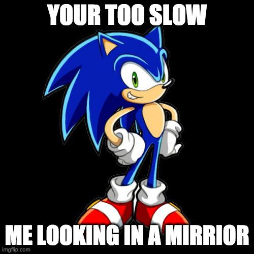 You're Too Slow Sonic Meme | YOUR TOO SLOW; ME LOOKING IN A MIRRIOR | image tagged in memes,you're too slow sonic | made w/ Imgflip meme maker