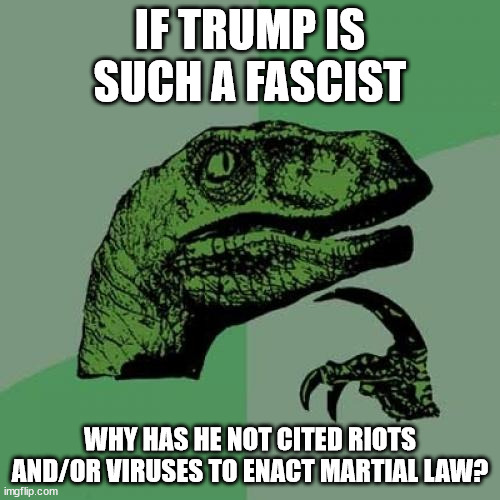Philosoraptor | IF TRUMP IS SUCH A FASCIST; WHY HAS HE NOT CITED RIOTS AND/OR VIRUSES TO ENACT MARTIAL LAW? | image tagged in memes,philosoraptor | made w/ Imgflip meme maker