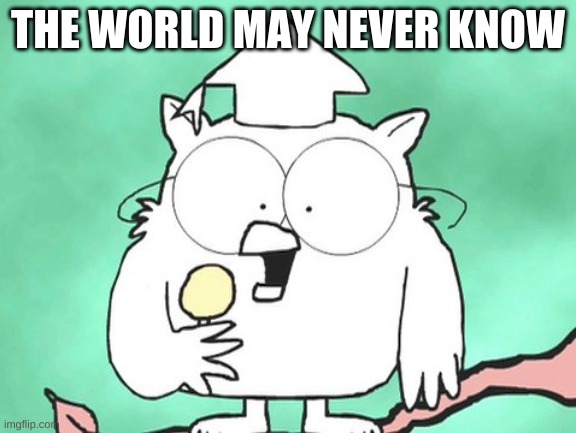 The world may never know | THE WORLD MAY NEVER KNOW | image tagged in the world may never know | made w/ Imgflip meme maker