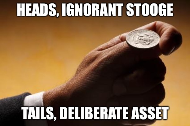 coin flip | HEADS, IGNORANT STOOGE TAILS, DELIBERATE ASSET | image tagged in coin flip | made w/ Imgflip meme maker