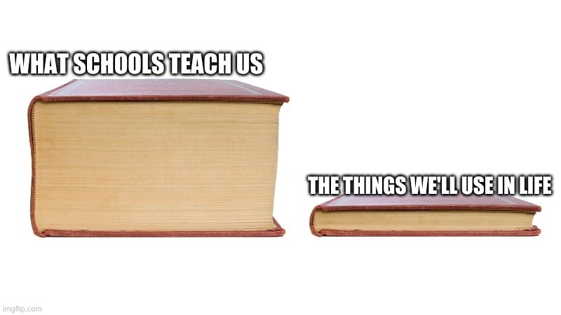 thick book thin book | WHAT SCHOOLS TEACH US; THE THINGS WE'LL USE IN LIFE | image tagged in thick book thin book | made w/ Imgflip meme maker
