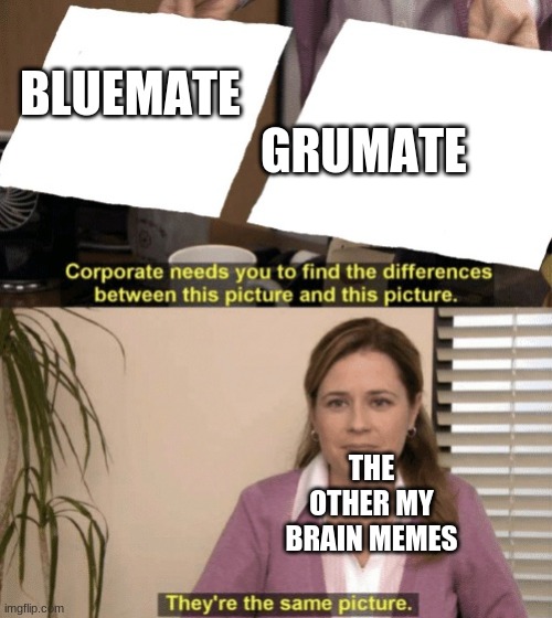 Corporate needs you to find the differences | BLUEMATE                                                 GRUMATE; THE OTHER MY BRAIN MEMES | image tagged in corporate needs you to find the differences | made w/ Imgflip meme maker