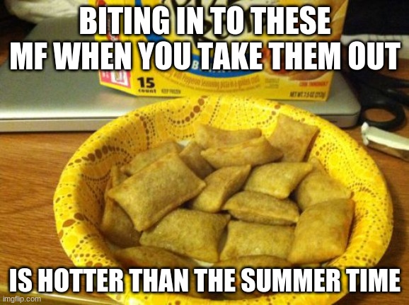 Good Guy Pizza Rolls Meme | BITING IN TO THESE MF WHEN YOU TAKE THEM OUT; IS HOTTER THAN THE SUMMER TIME | image tagged in memes,good guy pizza rolls | made w/ Imgflip meme maker