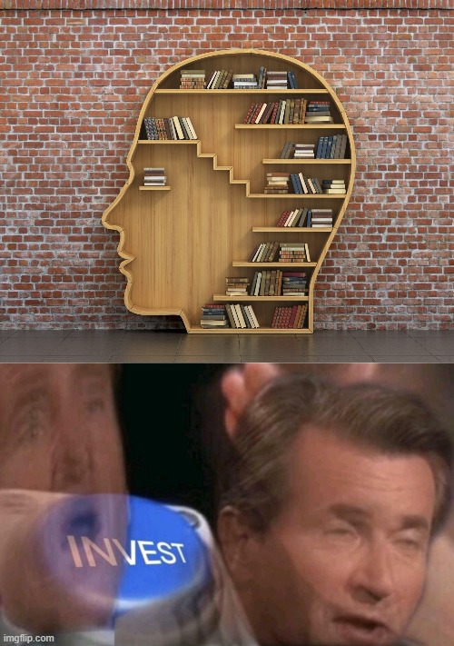 Ooh... | image tagged in head shaped book shelf,invest | made w/ Imgflip meme maker