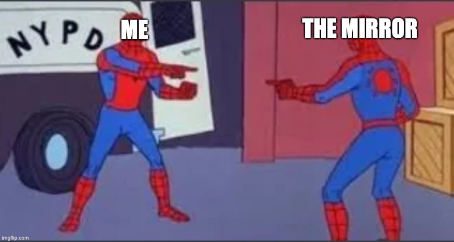 no u | THE MIRROR; ME | image tagged in no u | made w/ Imgflip meme maker