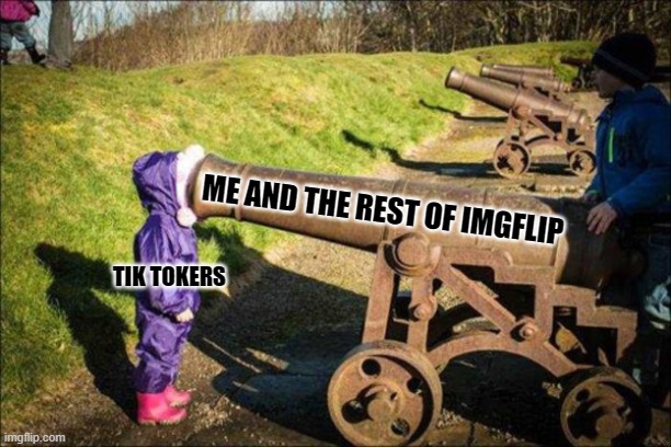 kid face on cannon | ME AND THE REST OF IMGFLIP; TIK TOKERS | image tagged in kid face on cannon | made w/ Imgflip meme maker