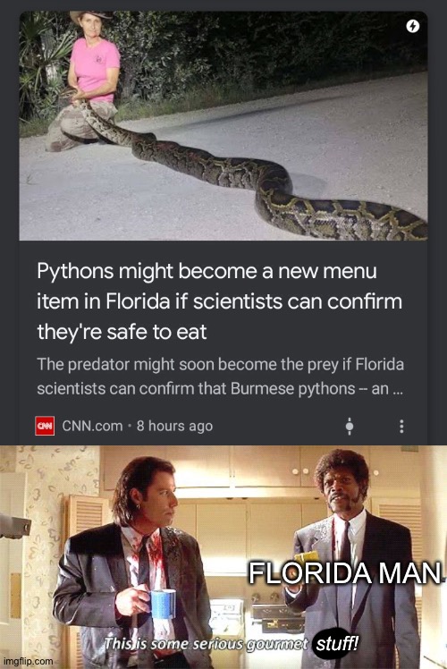 But why, why would you eat Python? | FLORIDA MAN; stuff! | image tagged in this is some serious gourmet stuff,memes,florida man,python | made w/ Imgflip meme maker