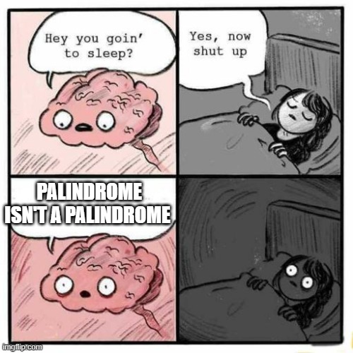 uh oh | PALINDROME ISN'T A PALINDROME | image tagged in hey you going to sleep | made w/ Imgflip meme maker