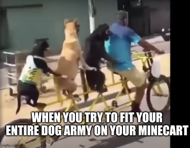 dog army meme | WHEN YOU TRY TO FIT YOUR ENTIRE DOG ARMY ON YOUR MINECART | image tagged in minecraft | made w/ Imgflip meme maker