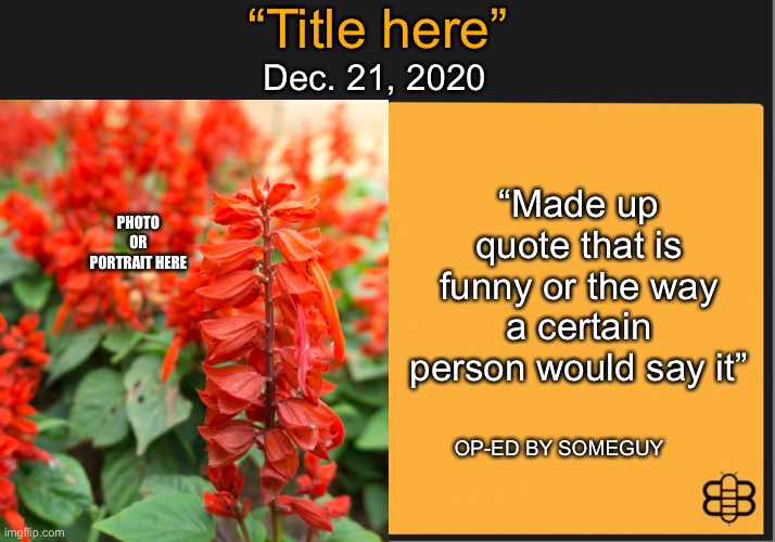 “Title here” Dec. 21, 2020 “Made up quote that is funny or the way a certain person would say it” OP-ED BY SOMEGUY PHOTO OR PORTRAIT HERE | made w/ Imgflip meme maker
