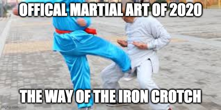 2020 | OFFICAL MARTIAL ART OF 2020; THE WAY OF THE IRON CROTCH | image tagged in martial arts | made w/ Imgflip meme maker