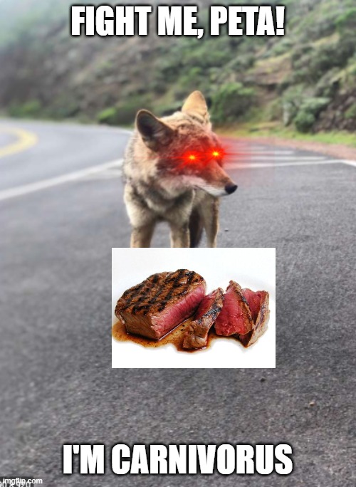 Road Coyote | FIGHT ME, PETA! I'M CARNIVORUS | image tagged in road coyote | made w/ Imgflip meme maker
