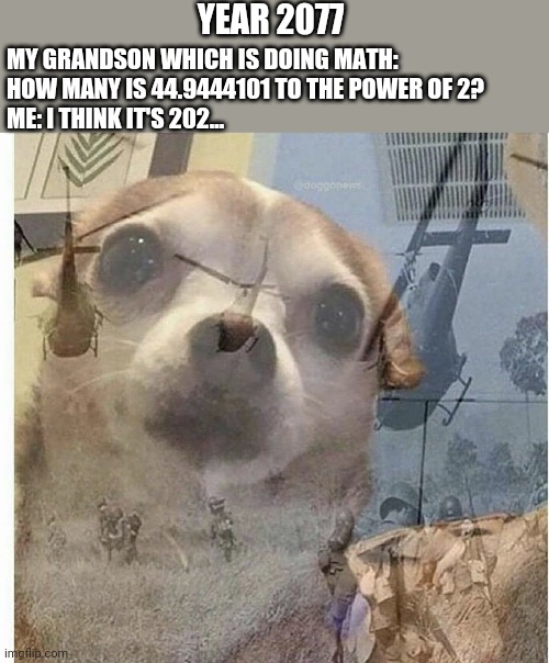 My grandson doing math | YEAR 2077; MY GRANDSON WHICH IS DOING MATH:
HOW MANY IS 44.9444101 TO THE POWER OF 2?
ME: I THINK IT'S 202... | image tagged in ptsd chihuahua,2020,math,homework,memes,school | made w/ Imgflip meme maker