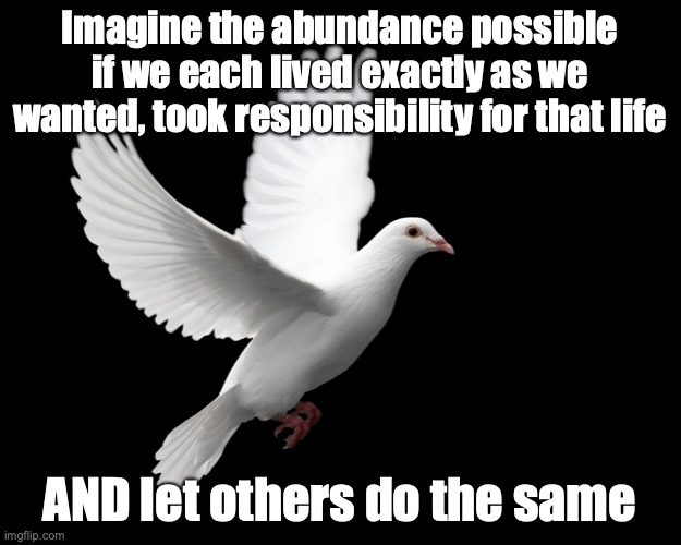 What Each of Us Can Do for Abundance | Imagine the abundance possible if we each lived exactly as we wanted, took responsibility for that life; AND let others do the same | image tagged in dove pigeon love peace happiness | made w/ Imgflip meme maker