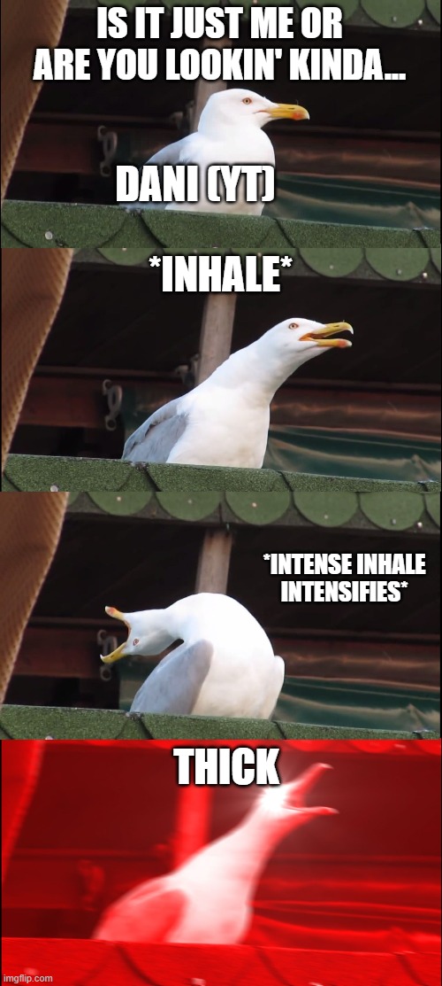 Inhaling Seagull | IS IT JUST ME OR ARE YOU LOOKIN' KINDA... DANI (YT); *INHALE*; *INTENSE INHALE INTENSIFIES*; THICK | image tagged in memes,inhaling seagull | made w/ Imgflip meme maker