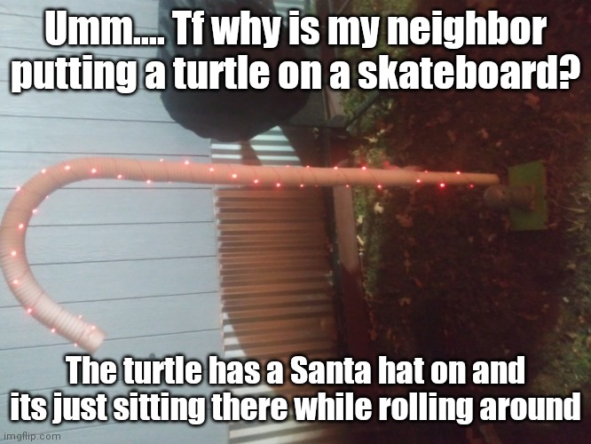 Guys.....wtf | Umm.... Tf why is my neighbor putting a turtle on a skateboard? The turtle has a Santa hat on and its just sitting there while rolling around | image tagged in turtle,santa,hats,christmas,candy cane,skateboard | made w/ Imgflip meme maker