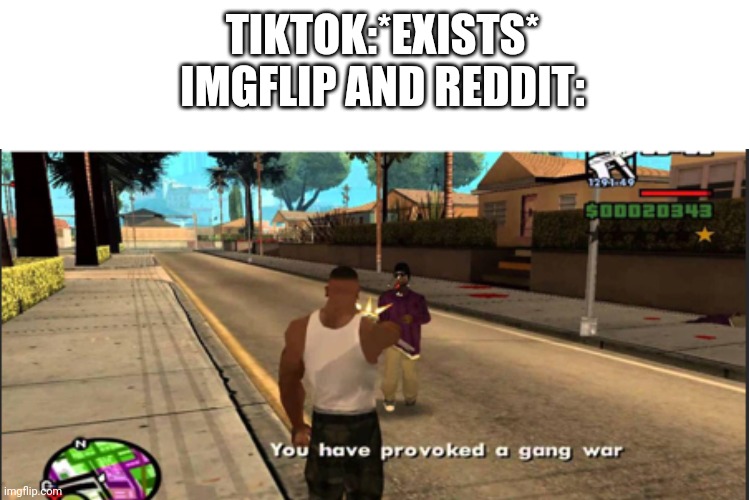 Remember we are allies of reddit | TIKTOK:*EXISTS*
IMGFLIP AND REDDIT: | image tagged in you have provoked a gang war,imgflip,reddit,tik tok sucks | made w/ Imgflip meme maker