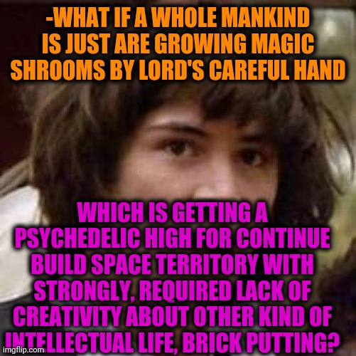 -As nothing else before! | -WHAT IF A WHOLE MANKIND IS JUST ARE GROWING MAGIC SHROOMS BY LORD'S CAREFUL HAND; WHICH IS GETTING A PSYCHEDELIC HIGH FOR CONTINUE BUILD SPACE TERRITORY WITH STRONGLY, REQUIRED LACK OF CREATIVITY ABOUT OTHER KIND OF INTELLECTUAL LIFE, BRICK PUTTING? | image tagged in memes,conspiracy keanu,magic mushrooms,psychedelics,growing up,mankind | made w/ Imgflip meme maker