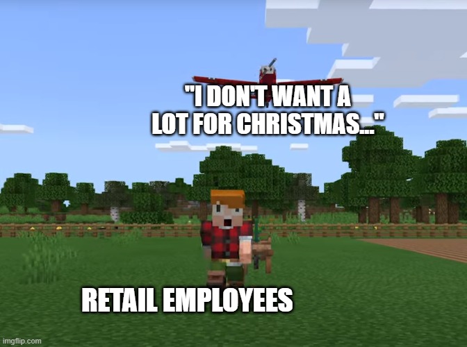 All I want for Christmas is youuUuuUUUuuu | "I DON'T WANT A LOT FOR CHRISTMAS..."; RETAIL EMPLOYEES | image tagged in minecraft character running away from plane,christmas,minecraft,new template,template,templates | made w/ Imgflip meme maker