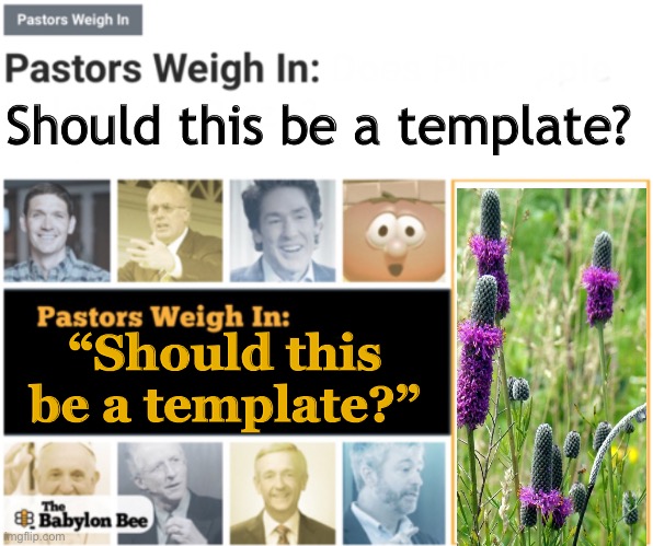 Pastors weigh in |  Should this be a template? “Should this be a template?” | image tagged in pastors weigh in,babylon bee,see comments below | made w/ Imgflip meme maker