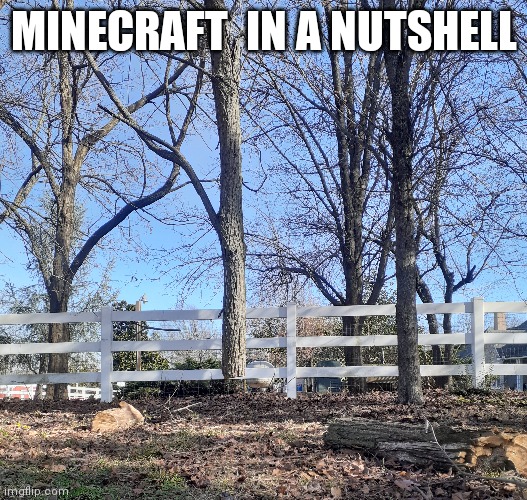 Minecraft tree | MINECRAFT  IN A NUTSHELL | image tagged in minecraft,tree | made w/ Imgflip meme maker