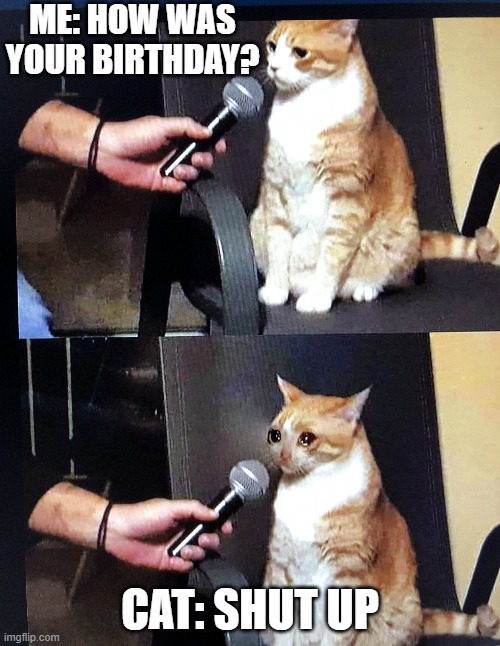 Cat interview crying | ME: HOW WAS YOUR BIRTHDAY? CAT: SHUT UP | image tagged in cat interview crying | made w/ Imgflip meme maker