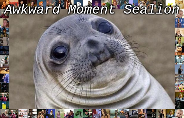 Awkward Moment Sealion | Awkward Moment Sealion | image tagged in memes,awkward moment sealion,funny,cute | made w/ Imgflip meme maker