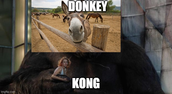 DK donkey kong is here | DONKEY; KONG | image tagged in king kong,donkey kong,memes,funny meme | made w/ Imgflip meme maker