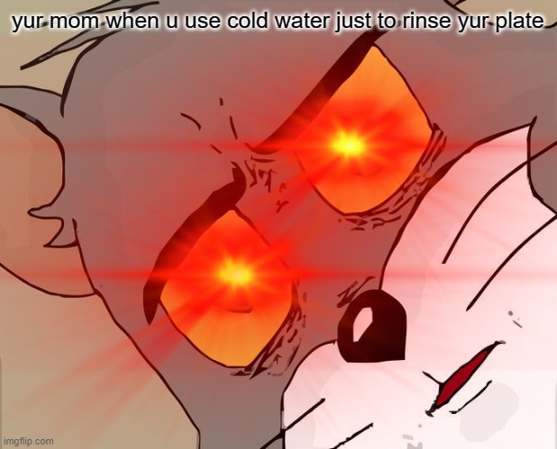 da bois can agree | yur mom when u use cold water just to rinse yur plate | image tagged in tom and jerry meme | made w/ Imgflip meme maker