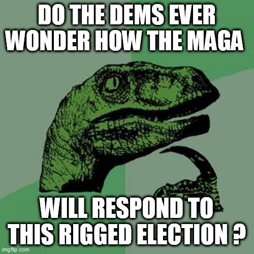 Philosoraptor | DO THE DEMS EVER WONDER HOW THE MAGA; WILL RESPOND TO THIS RIGGED ELECTION ? | image tagged in memes,philosoraptor | made w/ Imgflip meme maker