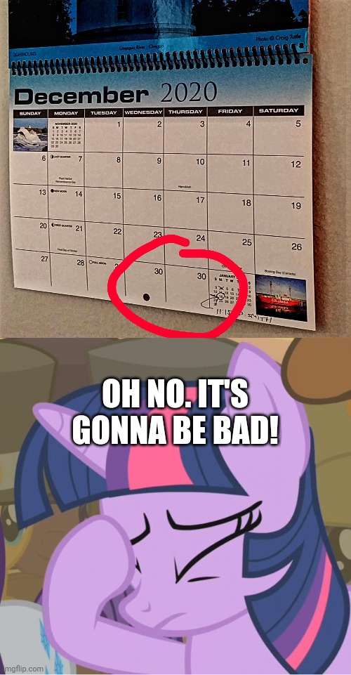 What?! Double 30?! Still 2020??!!! | OH NO. IT'S GONNA BE BAD! | image tagged in mlp twilight sparkle facehoof,you had one job,memes,task failed successfully,funny,fails | made w/ Imgflip meme maker