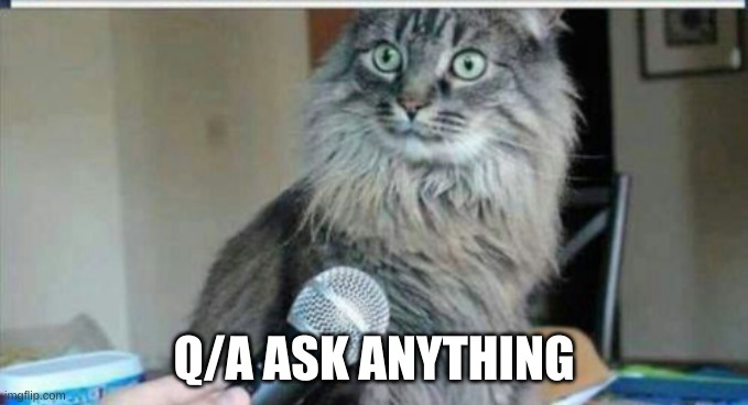 boredommmmmm | Q/A ASK ANYTHING | image tagged in imbored | made w/ Imgflip meme maker