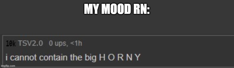 im horny rn | MY MOOD RN: | image tagged in i cannot contain the big h o r n y | made w/ Imgflip meme maker