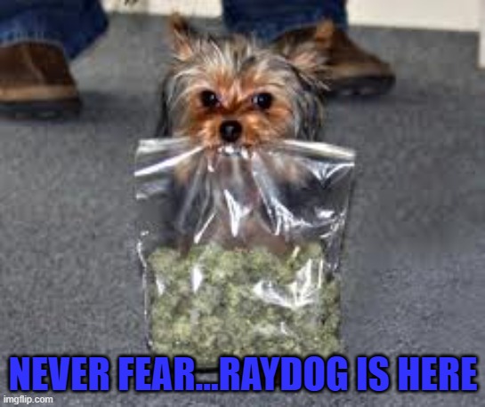 NEVER FEAR...RAYDOG IS HERE | made w/ Imgflip meme maker